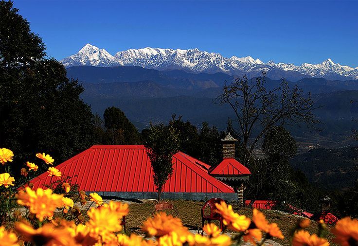 "Panoramic view of Kausani’s rolling tea gardens, misty Himalayan peaks, and golden sunrise—Uttarakhand’s serene hill paradise."