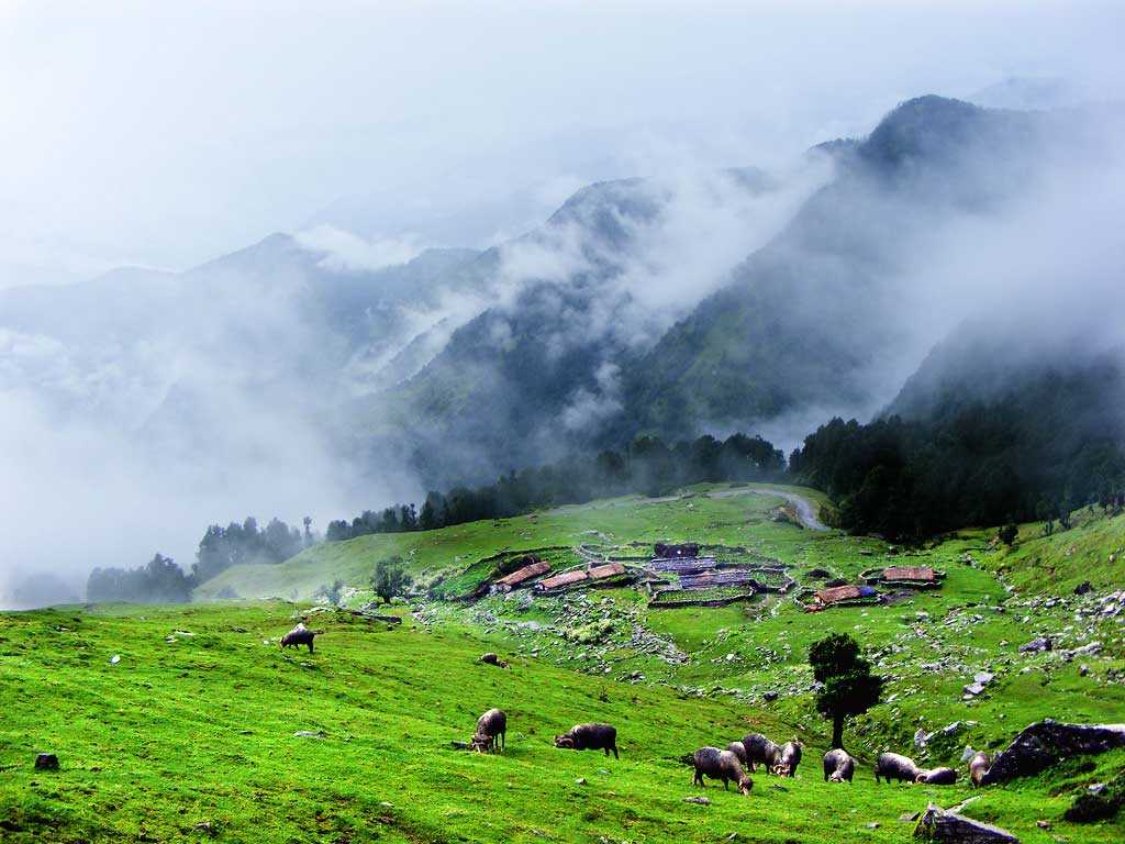 alt="Chopta - 'Mini Switzerland of India' with lush meadows, snow-capped peaks & Tungnath trek in Uttarakhand."