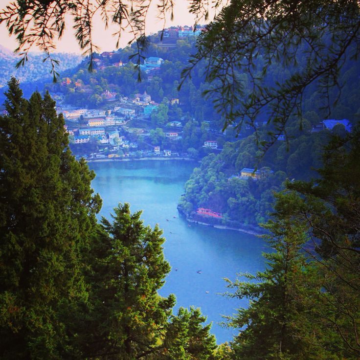 Scenic view of Nainital surrounded by green trees and beautiful weather, showcasing natural beauty and places to visit in Nainital.