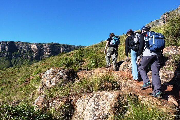 Trekking to Tiffin Top in Nainital – a peaceful and scenic adventure activity in the hills