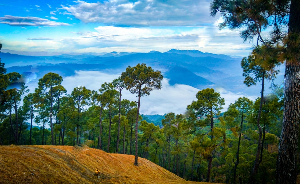 Ranikhet